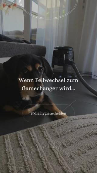 Instagram post from die.hygiene.helden. This post is in position 3.