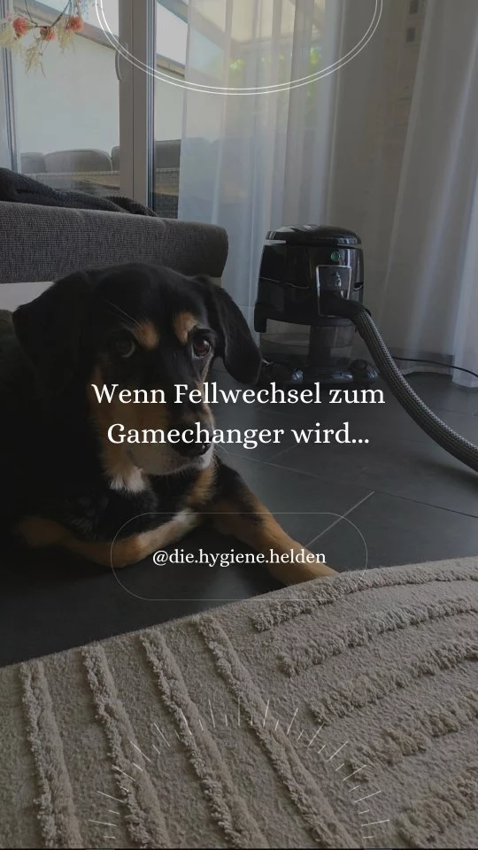 Instagram post from die.hygiene.helden. This post is in position 2.